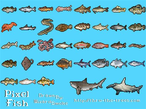 pixel fish|PixelFish Team .